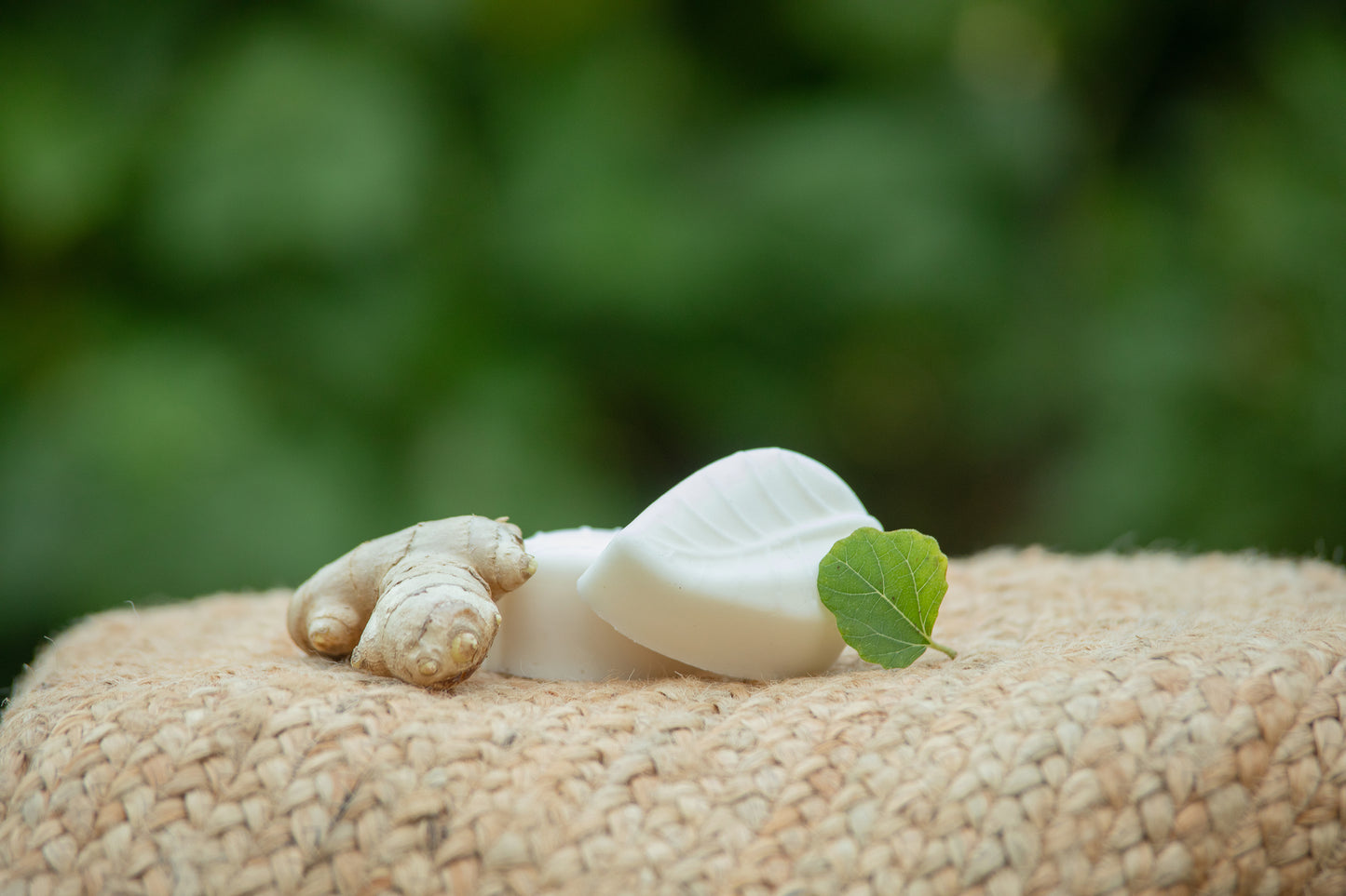 Goat's Milk & Calendula Soap - Ginger & Fig